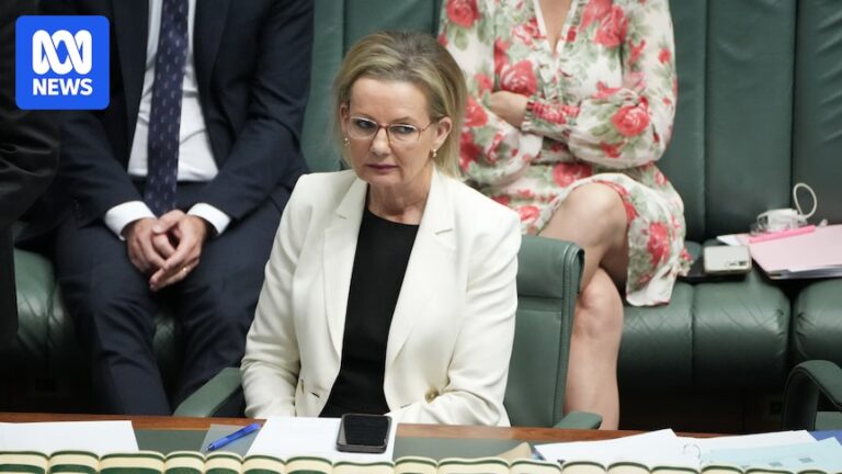 albanese-faces-transparency-criticism-amid-coalition-s-t-shirt-distraction