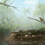 ancient-crocodile-species-in-australia-may-have-hunted-from-trees