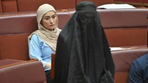 anne-aly-condemns-pauline-hanson-s-burqa-stunt-as-unacceptable-