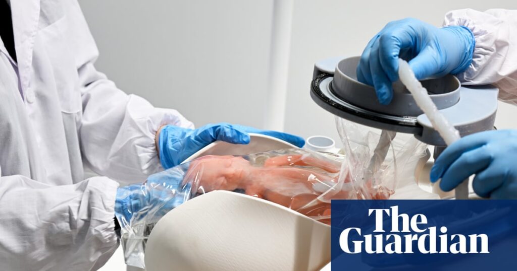 artificial-wombs-a-new-frontier-in-neonatal-care-and-ethical-debate