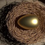 asic-launches-legal-action-over-shield-and-first-guardian-collapses