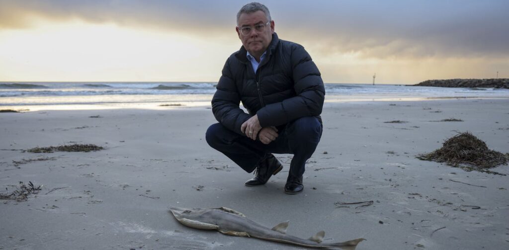 australia-s-environmental-law-reforms-a-balancing-act-before-christmas