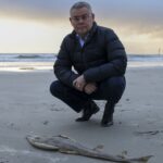 australia-s-environmental-law-reforms-a-balancing-act-before-christmas