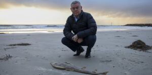 australia-s-environmental-law-reforms-a-balancing-act-before-christmas