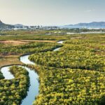 australia-s-environmental-law-reforms-progress-amid-compromise