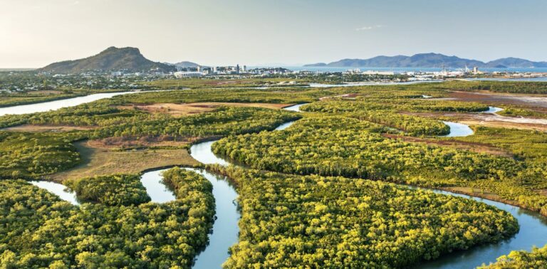 australia-s-environmental-law-reforms-progress-amid-compromise