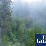 australia-s-nature-laws-overhaul-key-changes-and-implications