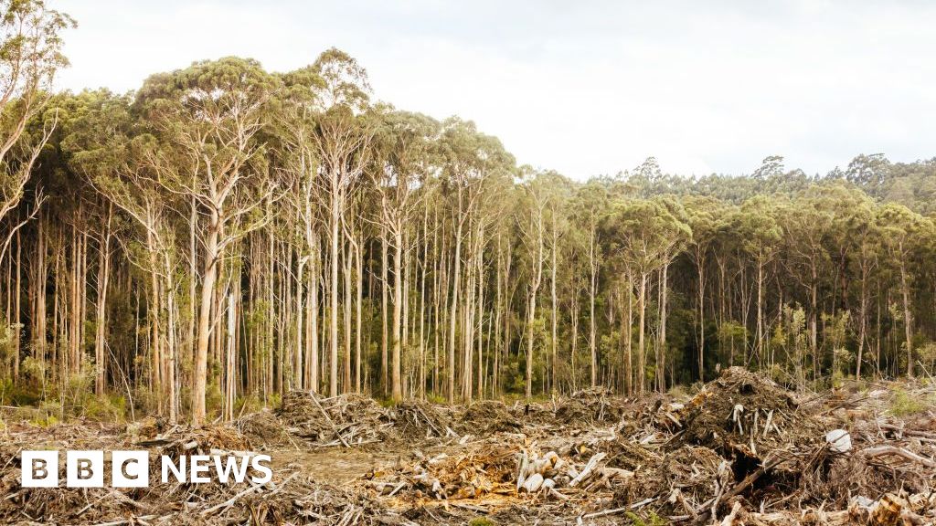 australia-to-overhaul-environmental-laws-with-historic-reforms