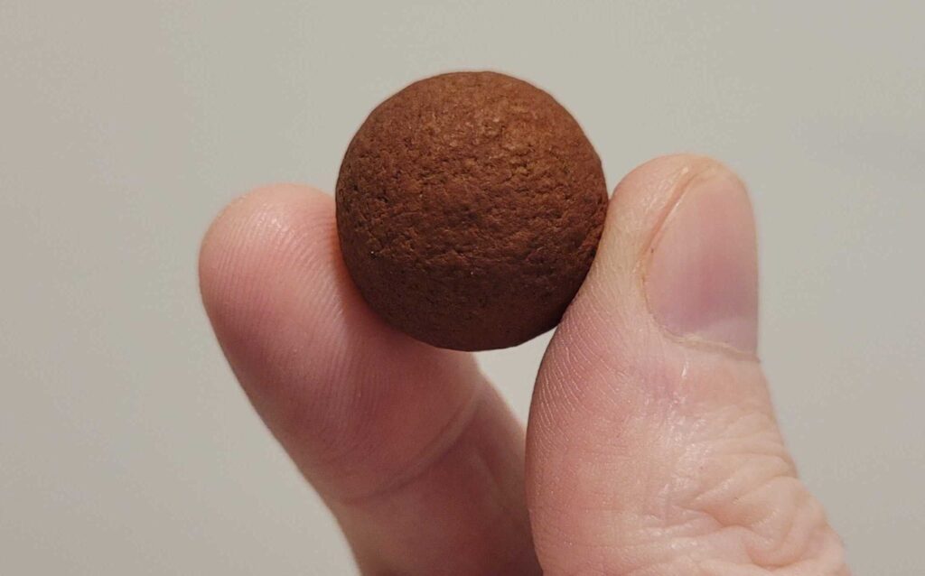 bettongs-seed-cracking-superpower-unveiled-in-new-study