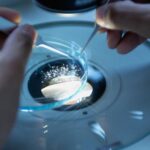 brain-health-risks-in-combat-sports-new-study-reveals-glymphatic-decline