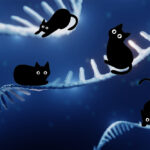 breakthrough-in-gene-splicing-mit-s-katmap-model-unveiled