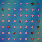 breakthrough-polymer-film-from-mit-could-revolutionize-corrosion-prevention