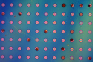 breakthrough-polymer-film-from-mit-could-revolutionize-corrosion-prevention