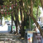 brisbane-s-montague-road-named-among-world-s-coolest-streets