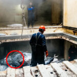 climate-change-threatens-7-5-billion-tuna-industry-in-pacific-islands