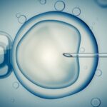 controversial-reward-scheme-proposal-by-global-egg-bank-sparks-debate-in-australia