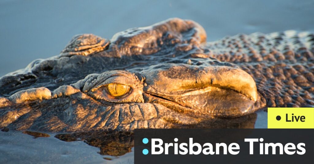 controversy-over-crocodile-relocation-to-australia-zoo-sparks-debate