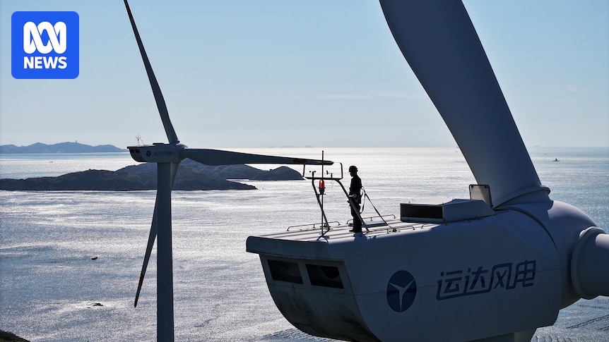 cop30-a-decade-after-paris-assessing-climate-progress-and-challenges