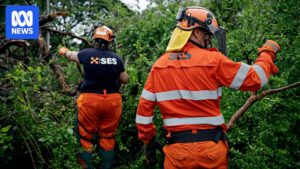 cyclone-fina-aftermath-darwin-s-recovery-and-challenges-ahead
