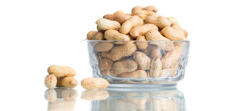 decline-in-peanut-allergies-a-shift-in-dietary-guidelines-