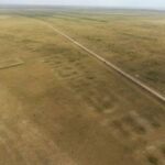 discovering-semiyarka-ancient-urban-hub-of-the-eurasian-steppe