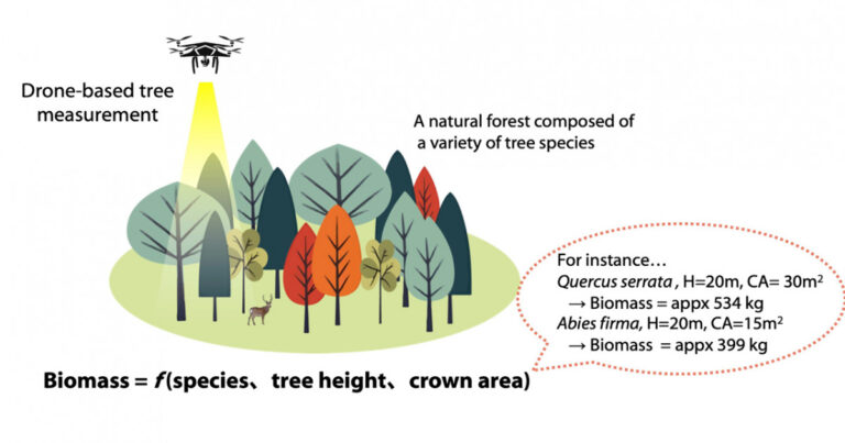 drone-technology-revolutionizes-forest-biomass-measurement-in-japan