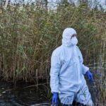 england-enforces-bird-housing-to-combat-widespread-avian-flu