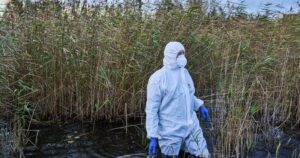 england-enforces-nationwide-bird-housing-to-combat-avian-flu-spread