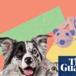 essential-tips-from-vets-for-keeping-pets-happy-and-healthy