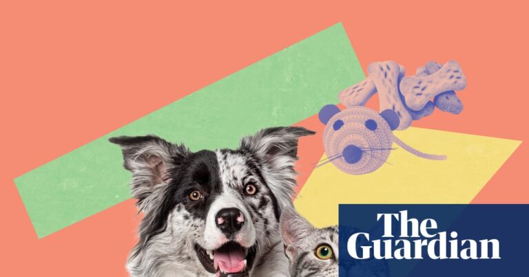 essential-tips-from-vets-for-keeping-pets-happy-and-healthy