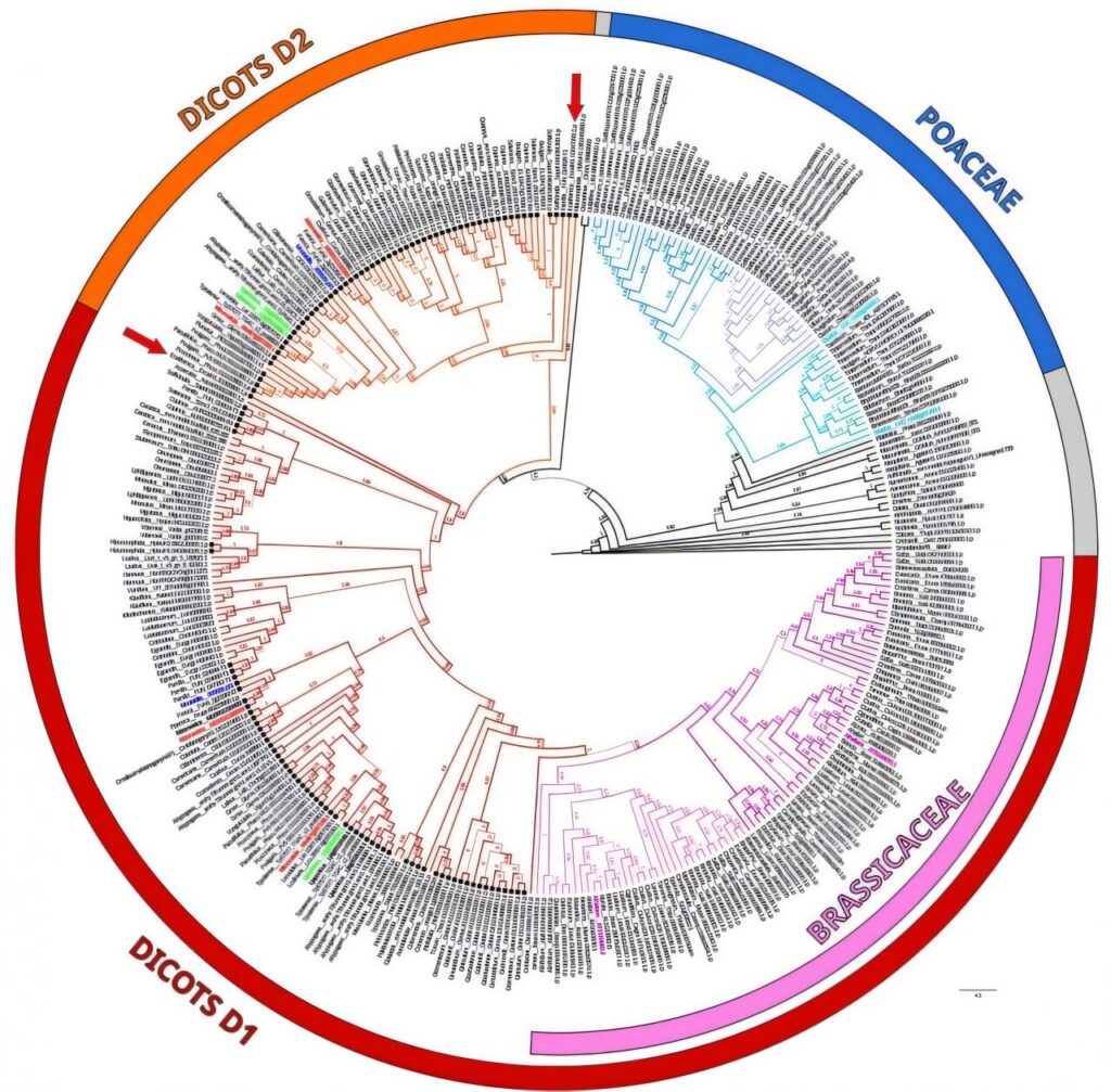 genetic-breakthrough-how-plants-conquered-toxic-soils