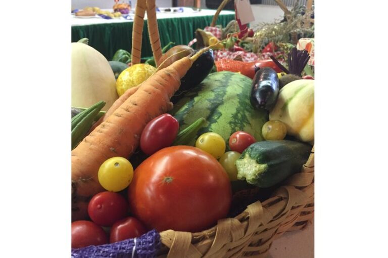 healthy-food-deliveries-enhance-life-quality-in-heart-failure-patients