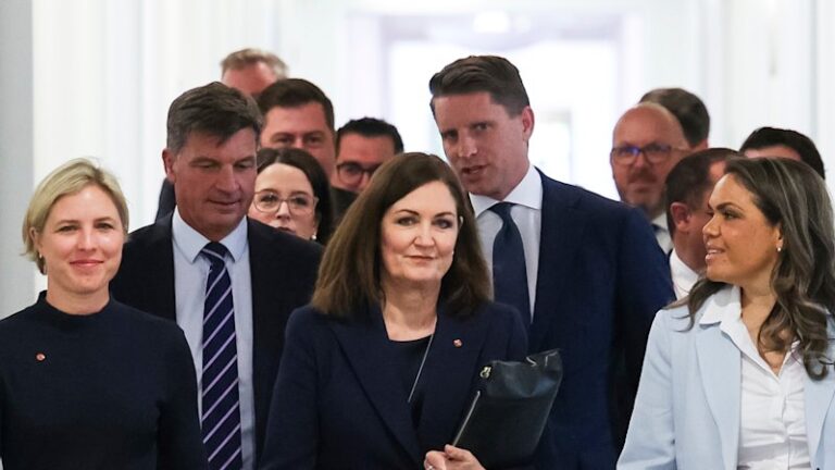 how-moderate-liberals-lost-the-net-zero-debate-a-political-analysis