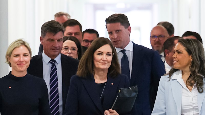 how-moderate-liberals-lost-the-net-zero-debate-a-political-analysis