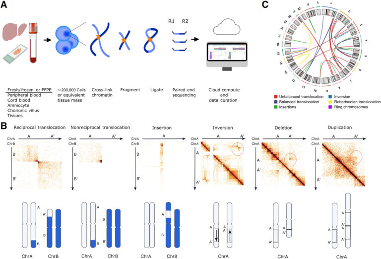 innovative-3d-genome-mapping-unveils-hidden-dna-complexities