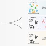 innovative-tool-transforms-single-cell-data-analysis-with-machine-learning