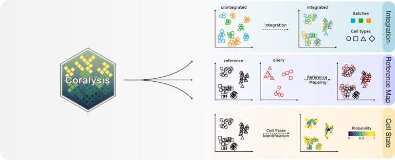innovative-tool-transforms-single-cell-data-analysis-with-machine-learning