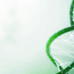 monash-university-pioneers-gene-editing-therapy-to-combat-cholesterol