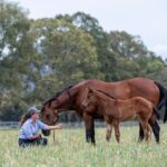 niacin-a-new-hope-for-boosting-fertility-in-older-mares