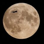 november-s-beaver-moon-a-spectacular-supermoon-event