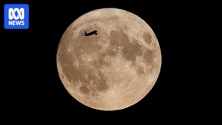 november-s-beaver-moon-a-spectacular-supermoon-event