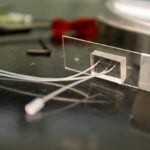 ohsu-joins-global-ai-initiative-to-transform-disease-modeling