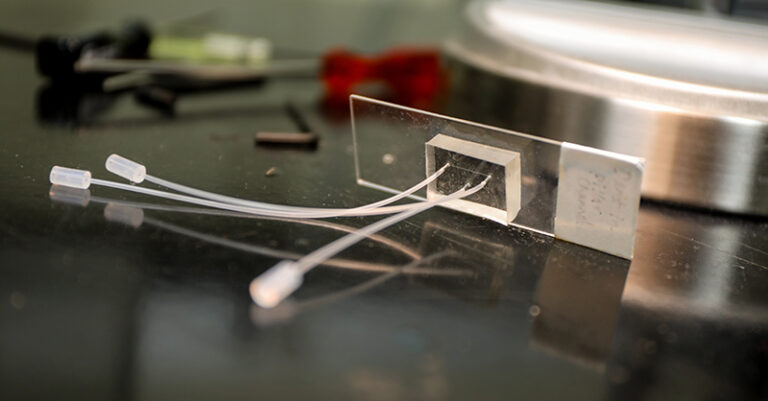 ohsu-joins-global-ai-initiative-to-transform-disease-modeling