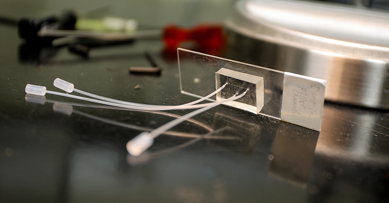 ohsu-joins-global-ai-initiative-to-transform-disease-modeling