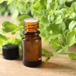 oregano-oil-a-natural-solution-to-combat-invasive-fire-ants