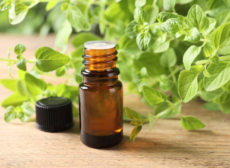 oregano-oil-a-natural-solution-to-combat-invasive-fire-ants
