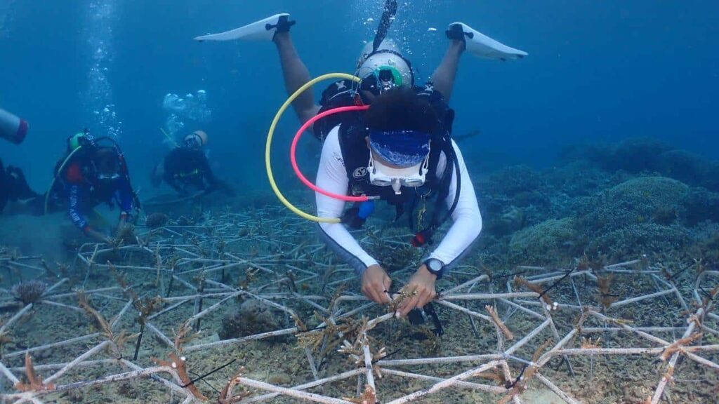 papua-student-s-quest-to-save-coral-reefs-through-marine-biology