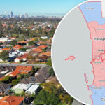 perth-faces-quarantine-as-invasive-beetle-threatens-ecosystem