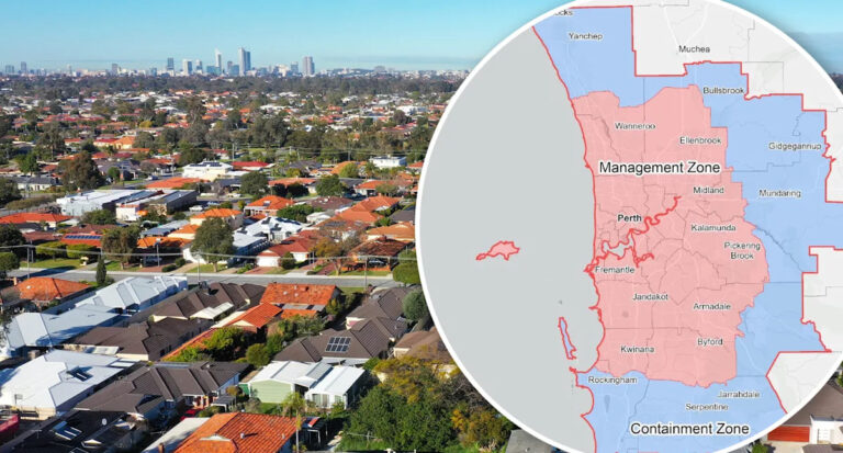 perth-faces-quarantine-as-invasive-beetle-threatens-ecosystem