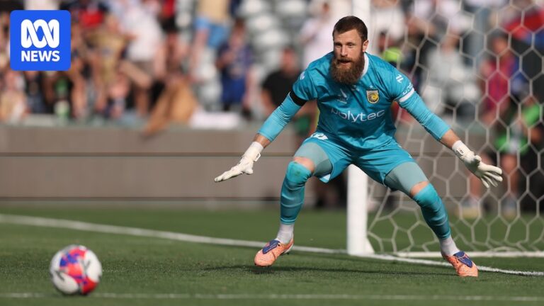 pfa-report-highlights-mental-health-and-substance-abuse-issues-among-a-league-players